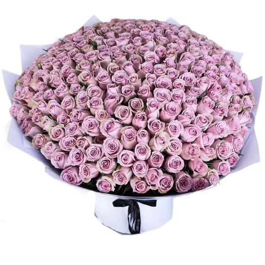 300 roses