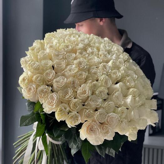 101 белая одноголовая  роза