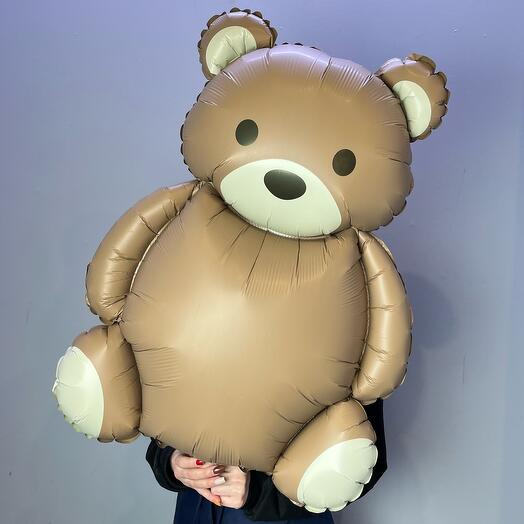 Шар медведь