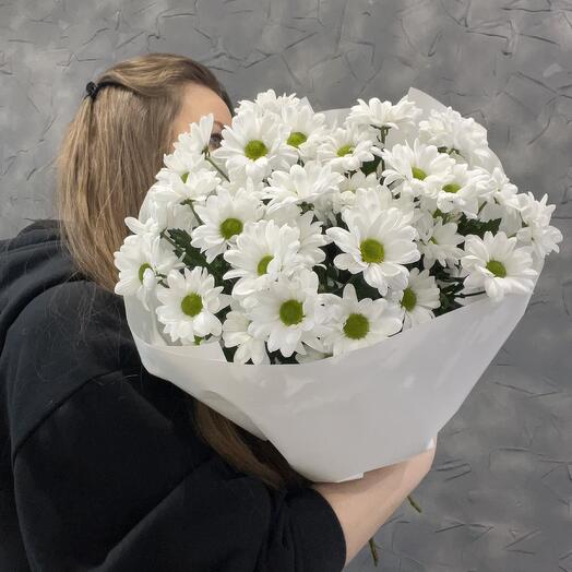 Белые хризантемы ( ромашковые )