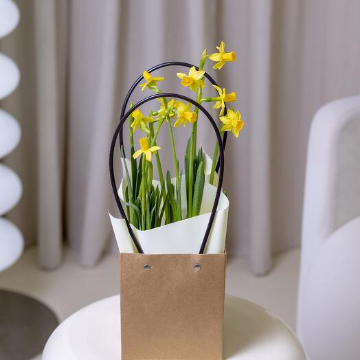 Daffodils in the handbag