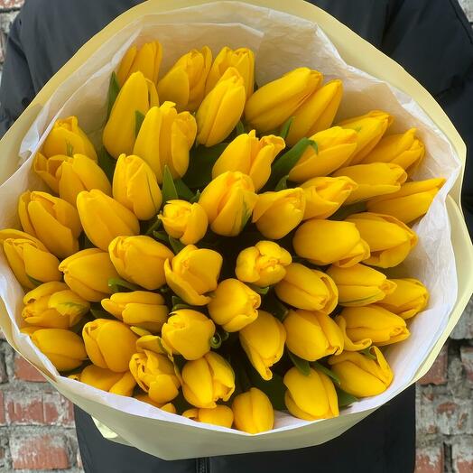 Жёлтые тульпаны 51 шт
