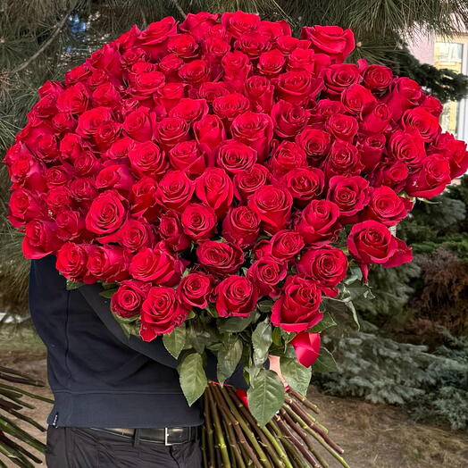 75 Rosas Rojas Largas Premium