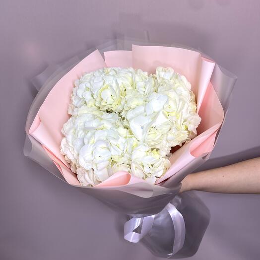 🌸Белые гортензии в упаковке