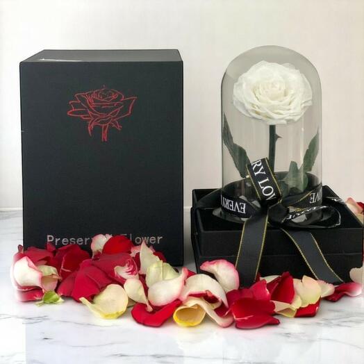 Forever White Preserved Rose in Glass Dome – Eternal White Rose Gift for Special Moments