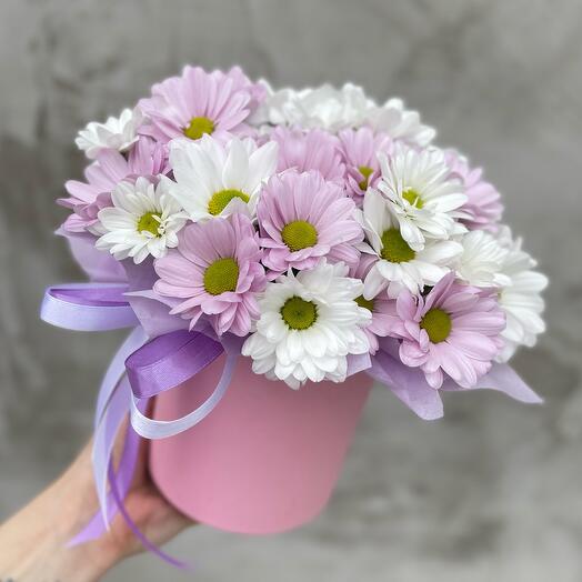Хризантема микс в шляпной коробке