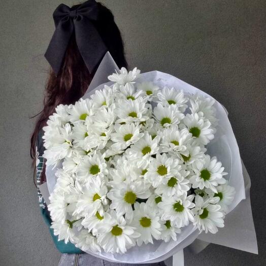 ~ 101 ромашка