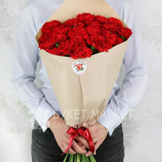 Красные гвоздики 25 шт