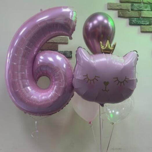 Воздушные шары кошка с цифрой 5 шт