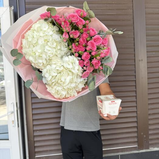 Гортензия кустовые и рафаэлло