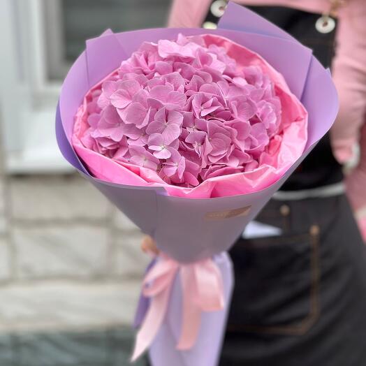 Нежное чудо гортензии 💞