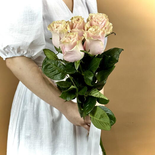 Розовая роза Пинк Мондиаль Pink Mondial 5 шт