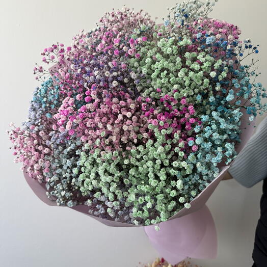 Grande Gypsophila