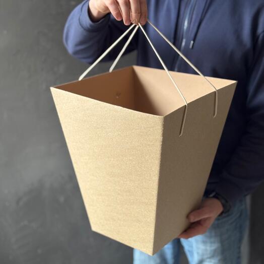 Транспортировочная коробка