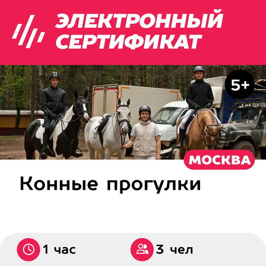 Подарочный сертификат Индивидуальная конная прогулка, 3 чел., будние дни (1 час)