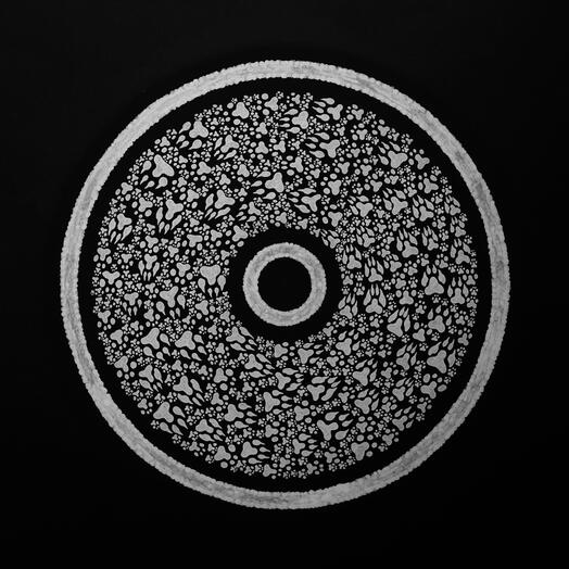 Черно-белая картина Organic A1 Собачьи следы Узор