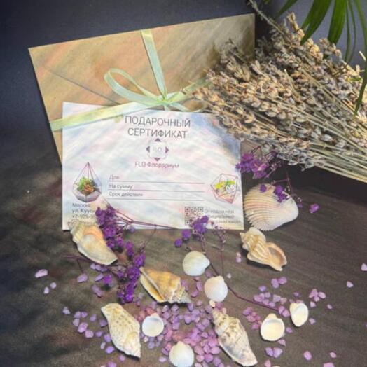 Сертификат на мастер класс создание флорариума с суккулентами