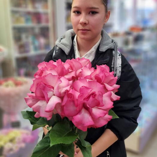 Французский ветер