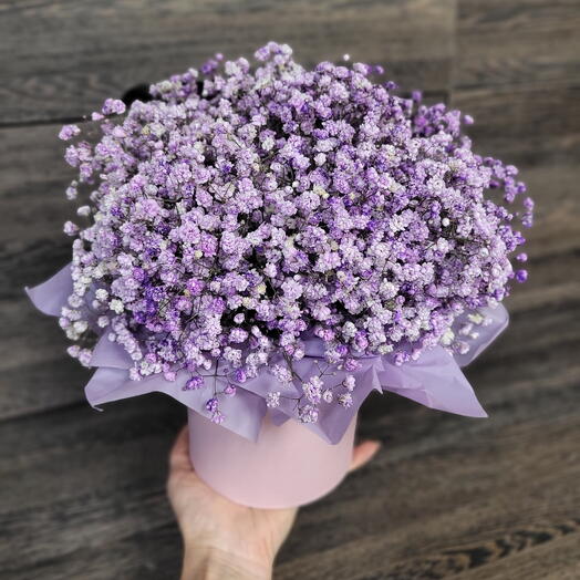 Фиолетовая гипсофила в шляпной коробке 💜