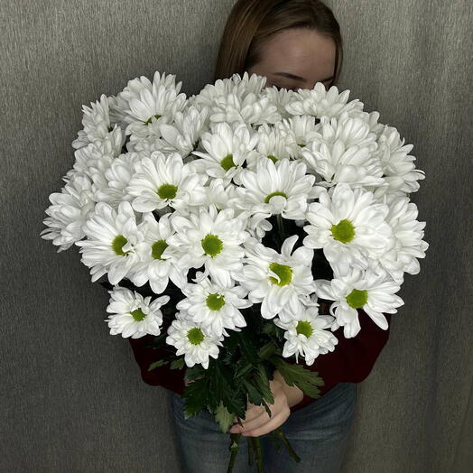 Букет из 7 кустовых ромашек(хризантем)