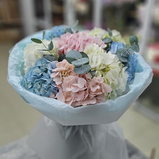 Гортензия микс