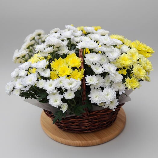 Корзина с хризантемой