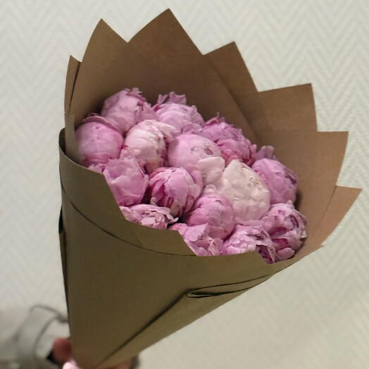Пионы розовые