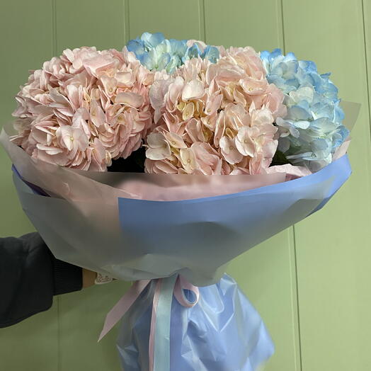 Гортензия 7 шт