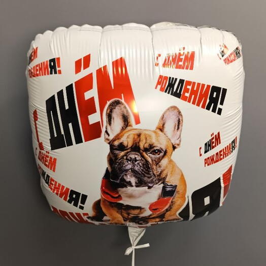 Шар " С днем рождения " Бульдог