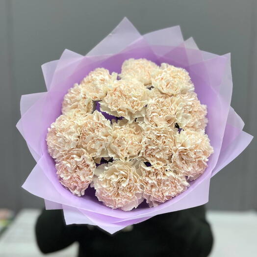 Нежные диантусы Брют 15 шт 🌸