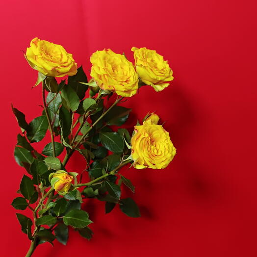 Spray Rose Yellow
