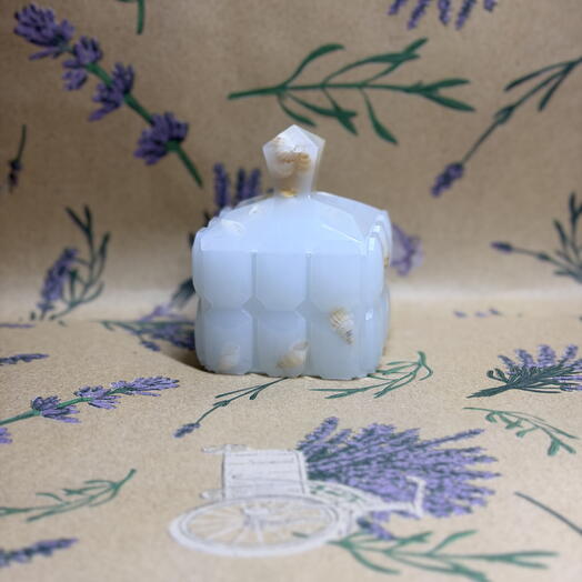 Шкатулка с ракушками