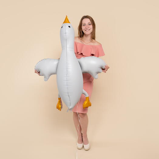 Шар Фигура, Гусь Обнимусь