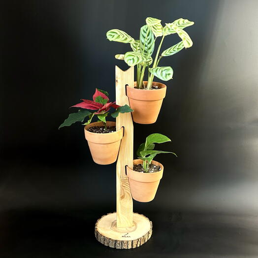 Вертикальный сад: подставка из массива с растениями