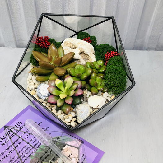 Флорариум с яркими суккулентами