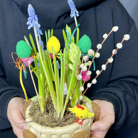 Подарок на Пасху. Кашпо зайка с вербой, гиацинтами, мускари и нарциссами