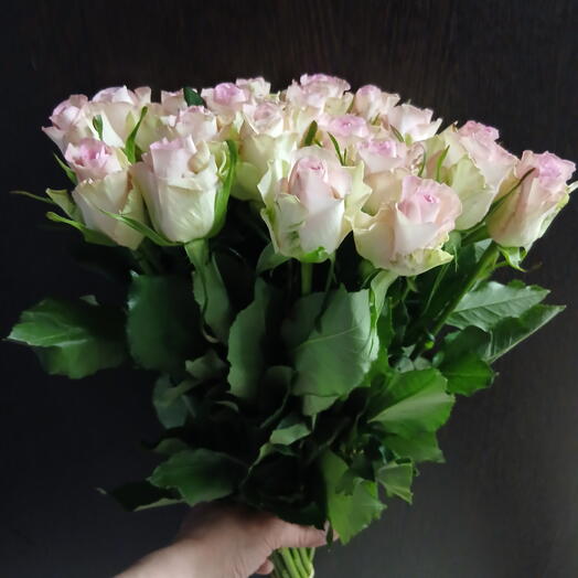 Букет из розовых роз,19 шт,50 си.
Букетная s