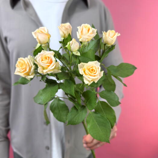 Цветы поштучно. Кустовая роза кремовая Кения 1 штука