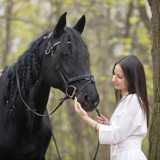 Сертификат на 20000 рублей на услуги Конного клуба