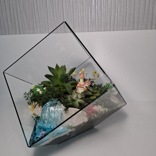 Флорариум большой близким    на день рождения