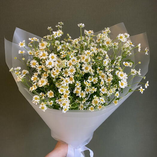 Букет из 9 кустовых ромашек