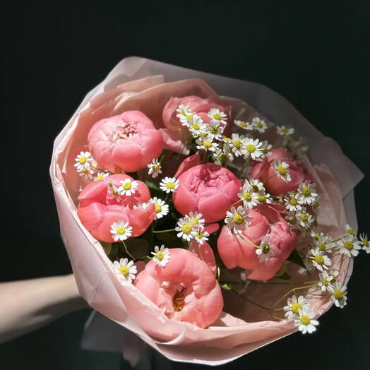 Смотри , пионы !😍