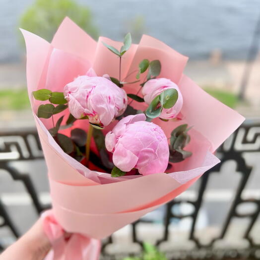 Пионы🌱эвкалипт