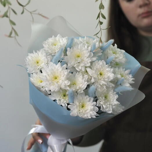 Три воздушных хризантемы среди голубого лагуруса
