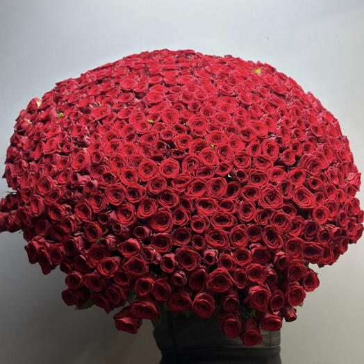 Красные Розы 301 штука