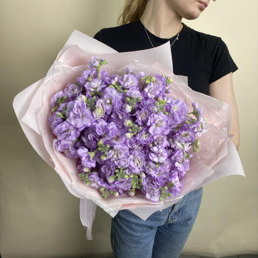 Ароматная матиолла