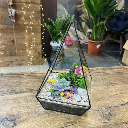 Florarium con suculentas