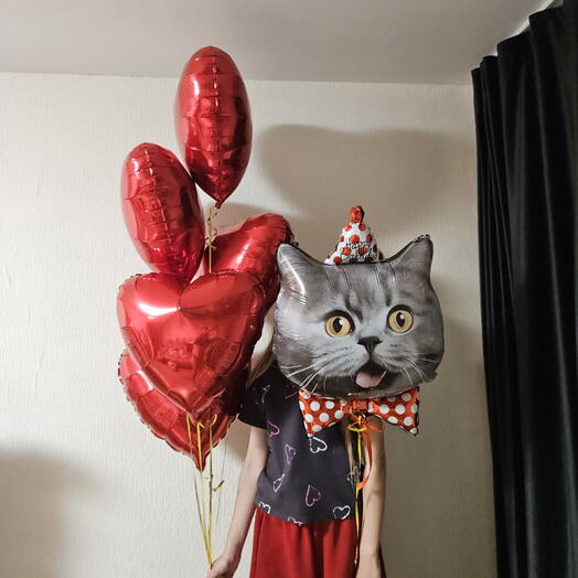 Красные шары сердца,сердечки и кошка,котик,котенок для любимого и любимой, жены, мужа,парня,девушки- 6 шаров