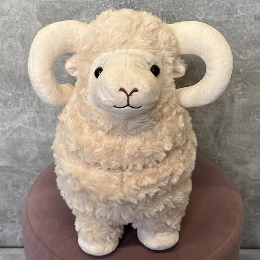 Бараш 🐏