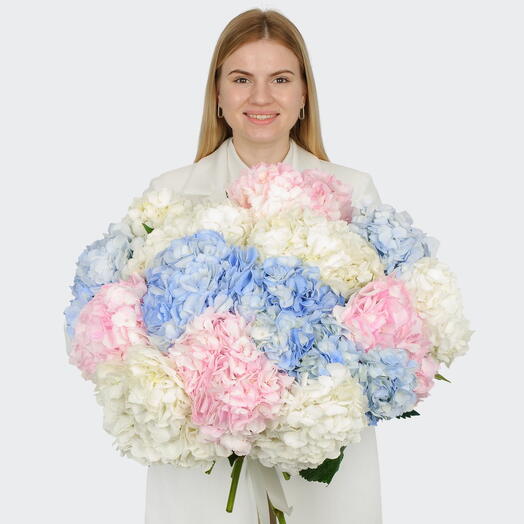 Букет из 15 гортензий